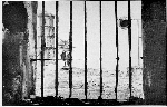 Vestiges du Bagne - La tour Dreyfus à Kourou vue depuis une cellule du pénitencier, 1962